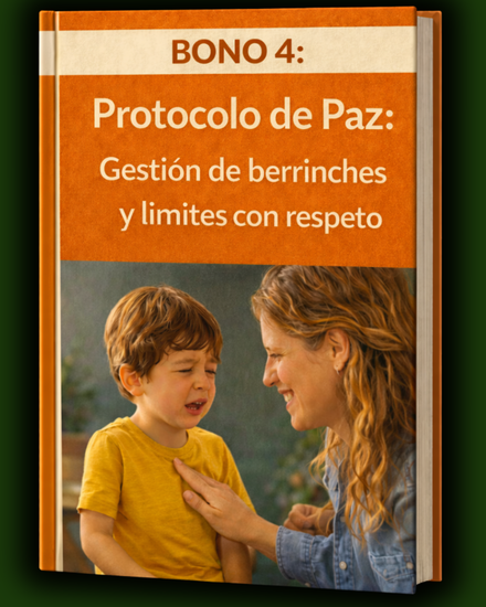 Protocolo de Paz